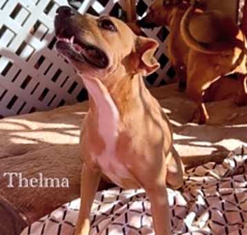 Photo of Thelma