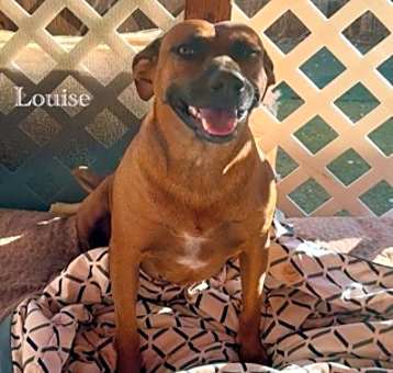 Photo of Louise
