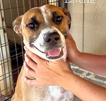 Photo of Laverne