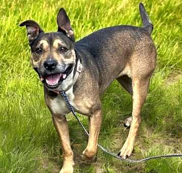 Photo of NOLA IS A PERFECT GIRL