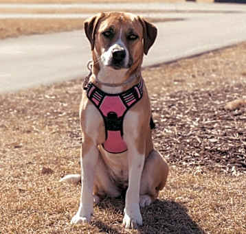 Photo of Gabbie