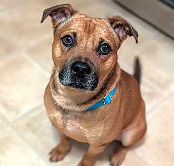 Photo of Ajax