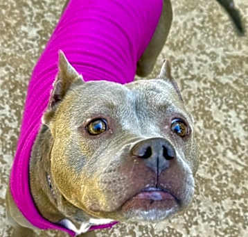 Photo of Mocha