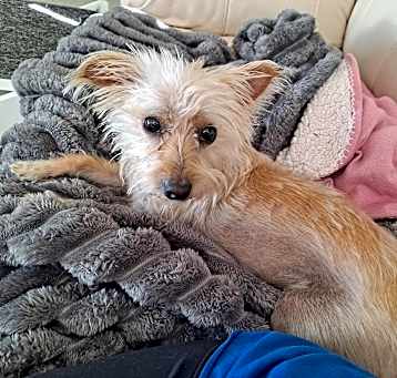 Photo of Joly