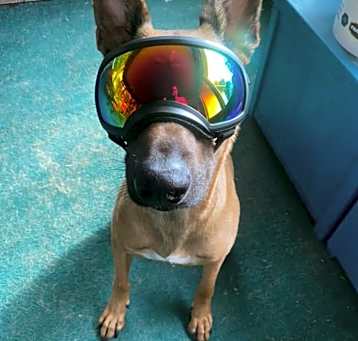 Photo of Thor