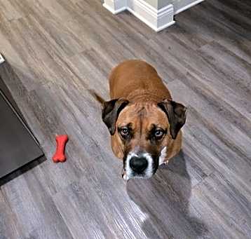 Photo of Lulu