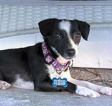 Photo of Lyric!