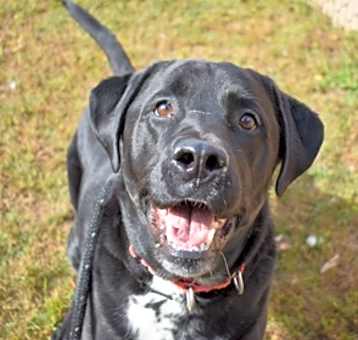 Photo of Gus