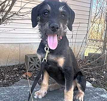 Photo of ZuZu