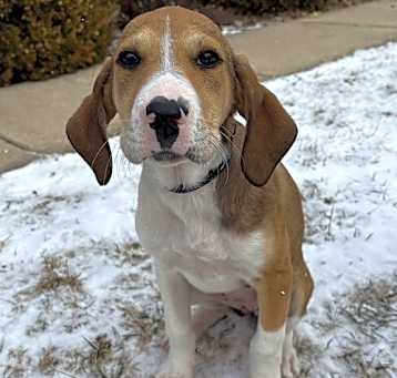 Photo of Zia