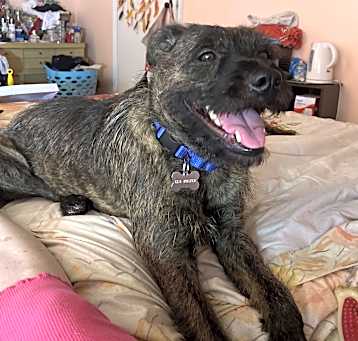 Photo of Lila