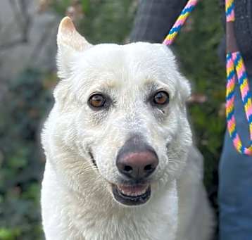 Photo of DAISY