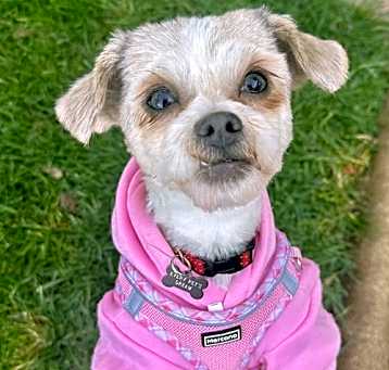 Photo of Libby