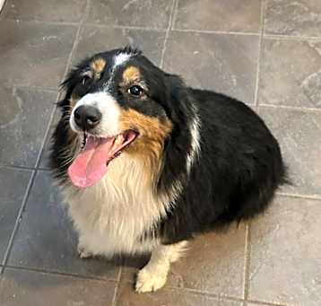 Photo of Rosie