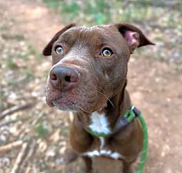 Photo of MOCHA