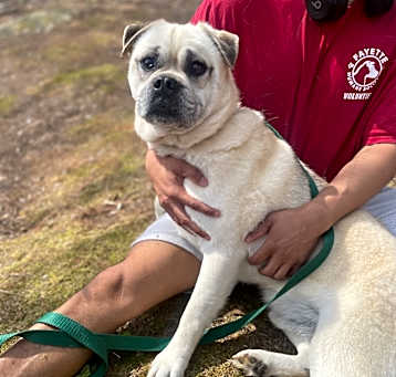 Photo of Maxi