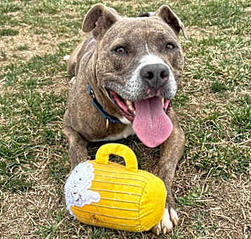 Photo of Leroy