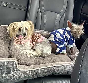 Photo of Zena & Conan