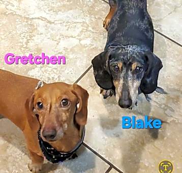 Photo of Blake and Gretchen
