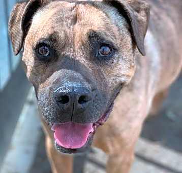 Photo of APOLLO