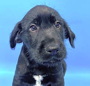 Photo of Tundra