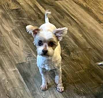 Photo of Jewel
