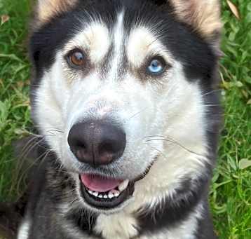 Photo of KiKi