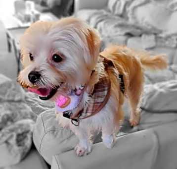 Photo of Betty B