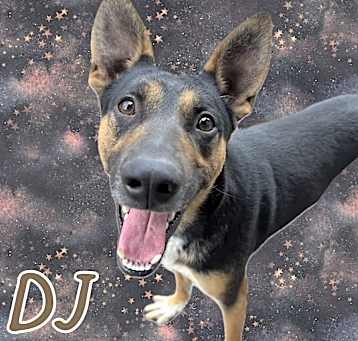 Photo of DJ