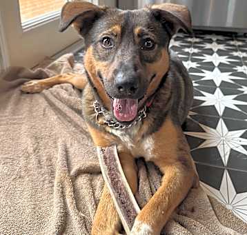 Photo of HONEY