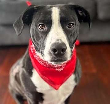 Photo of Cyle (TX)