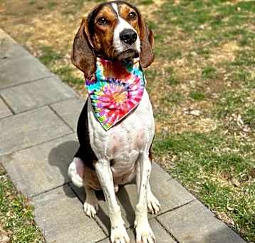 Photo of Flynn