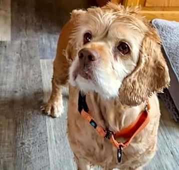 Photo of Sandy