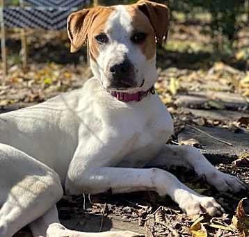 Photo of Jill