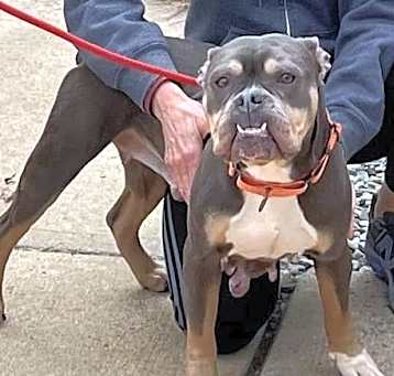 Photo of Fiona