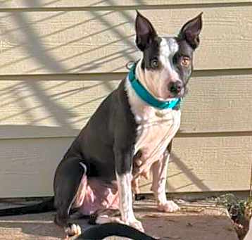 Photo of Evie