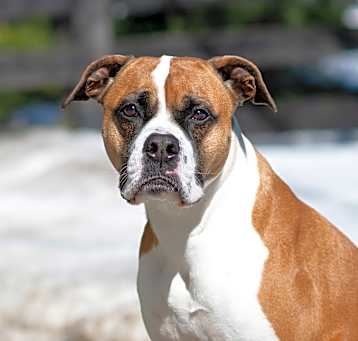 Photo of Tova