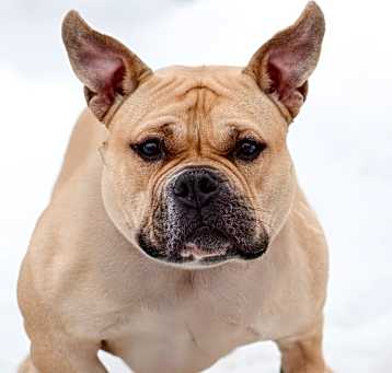 Photo of Zira