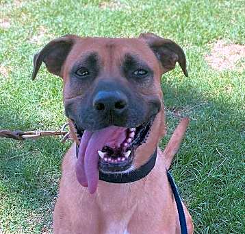 Photo of ROMEO