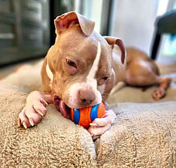 Photo of Dottie