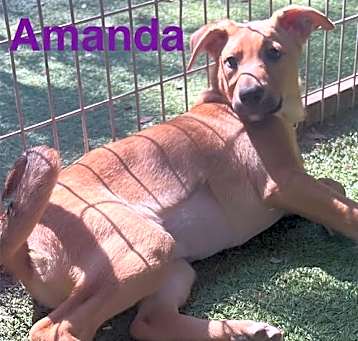 Photo of Amanda