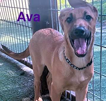 Photo of Ava