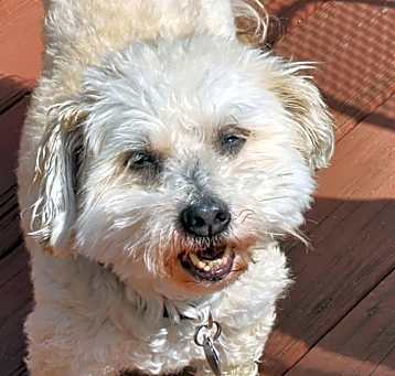 Photo of Baily