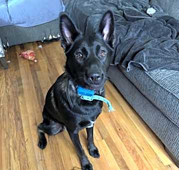 Photo of Yoshi