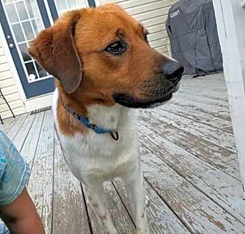 Photo of Stewie
