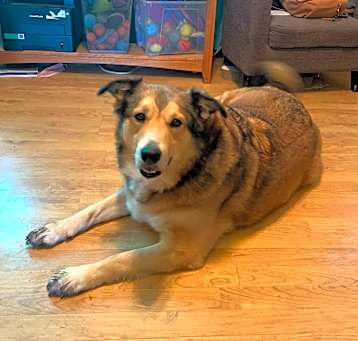 Photo of Tank