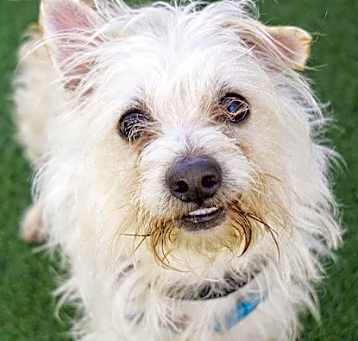 Photo of Garth