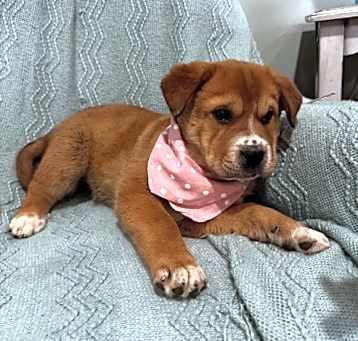 Photo of Gigi