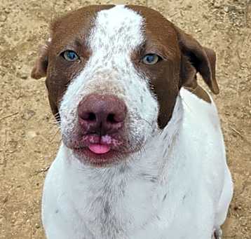 Photo of DEWEY