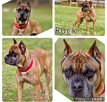 Photo of Rock